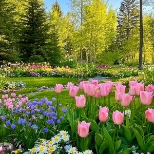 Meet your Posher, Angel